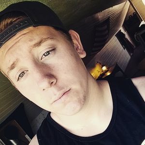 Meet your Posher, Dwight